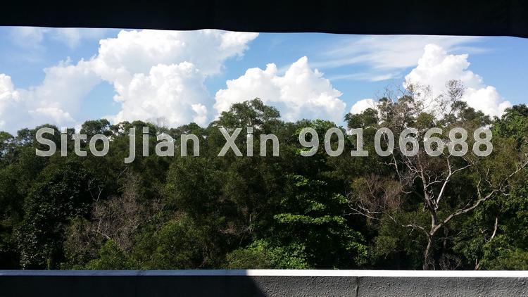 Bleu @ East Coast thumbnail photo